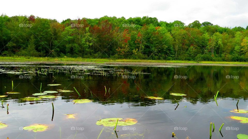 Brilliant colors from my kayak