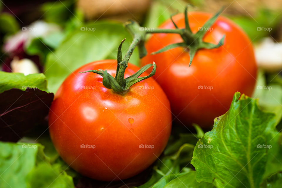 Ripe Tomatoes 