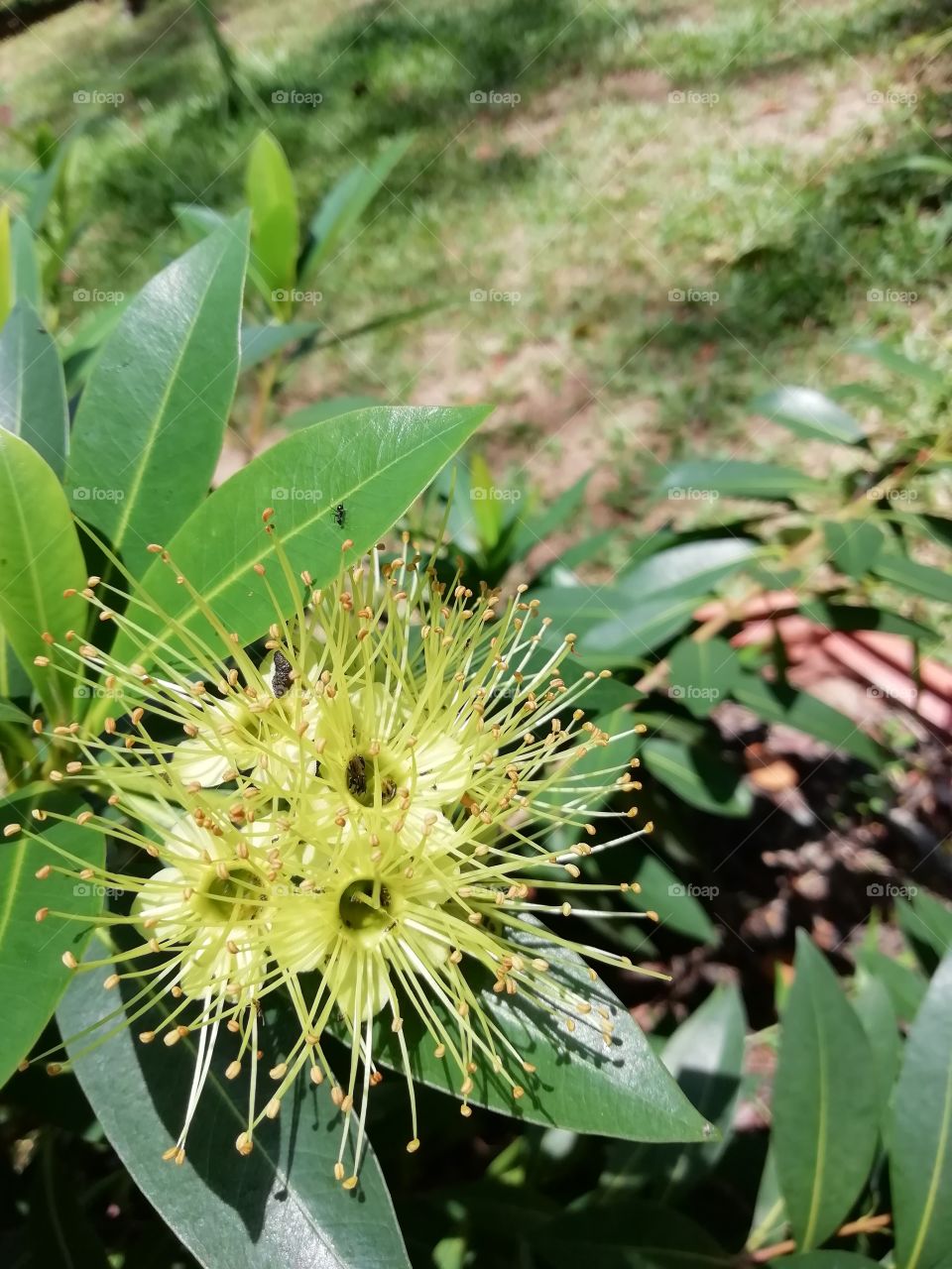 It's a great day of meeting these beautiful ladies #flowers
