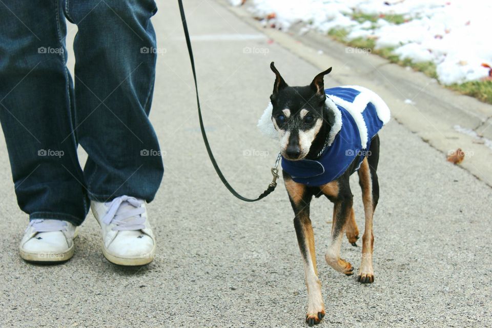 Time for a walk for daily exercise