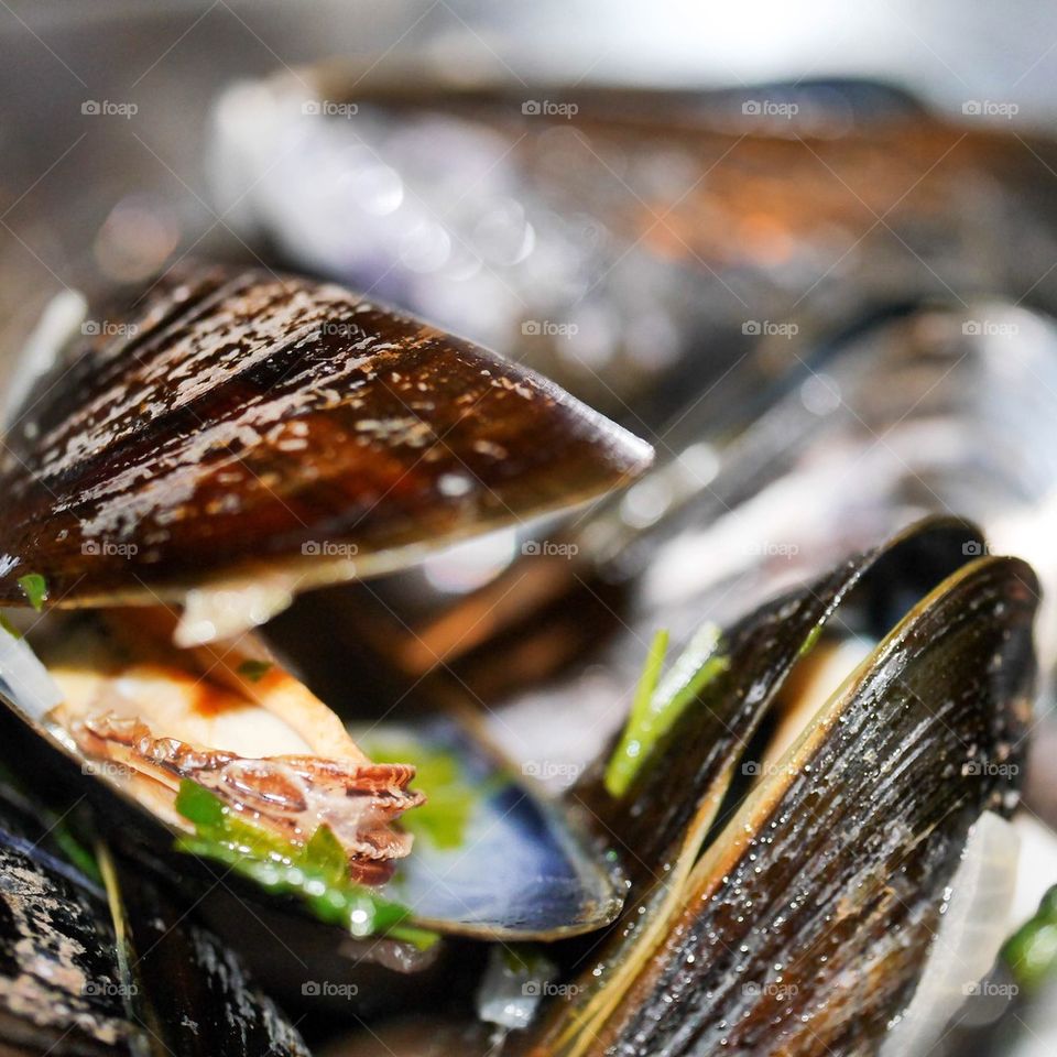 Mussels from brussels