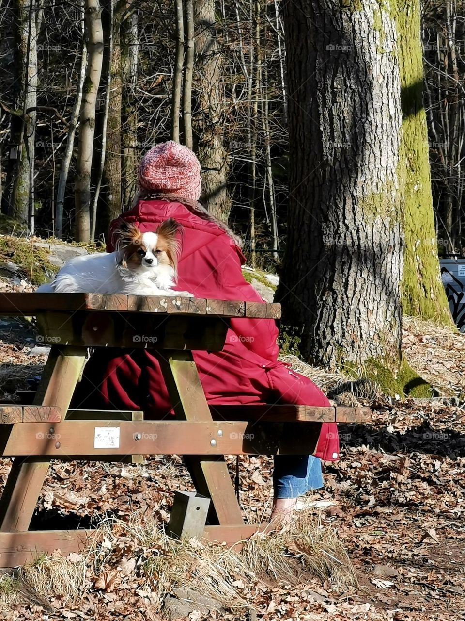 Woman and dog sitting outside