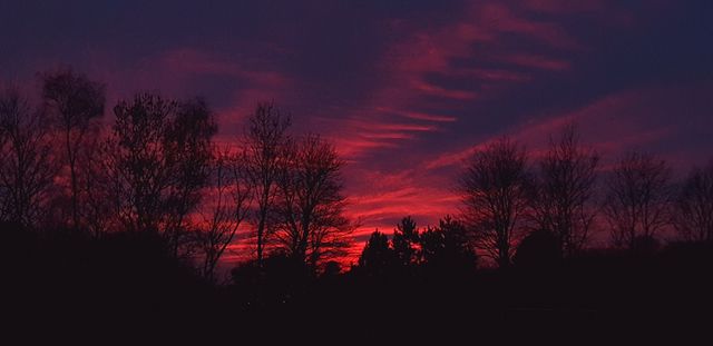 Beautiful Sunset