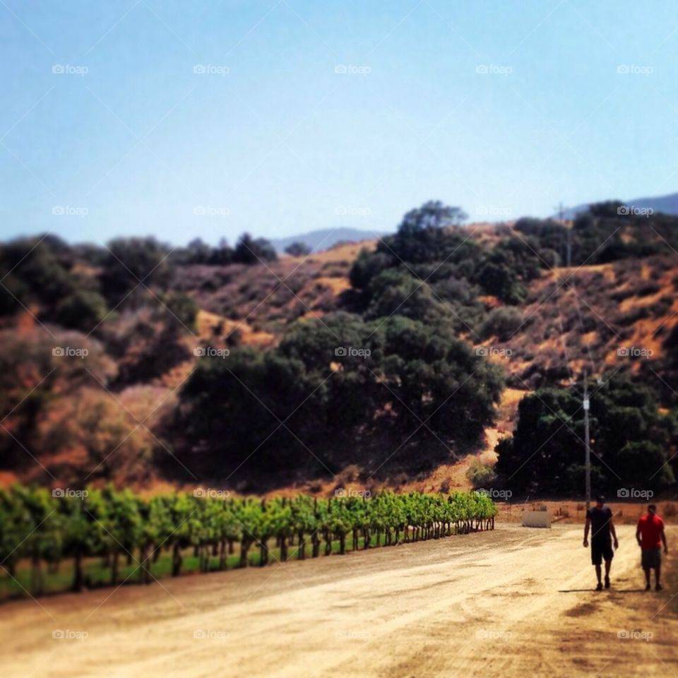 Brothers at the winery 