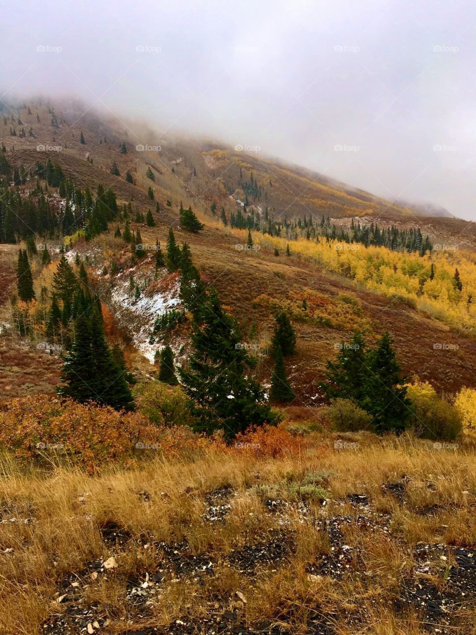 Colorful fall in Utah mountains! 
