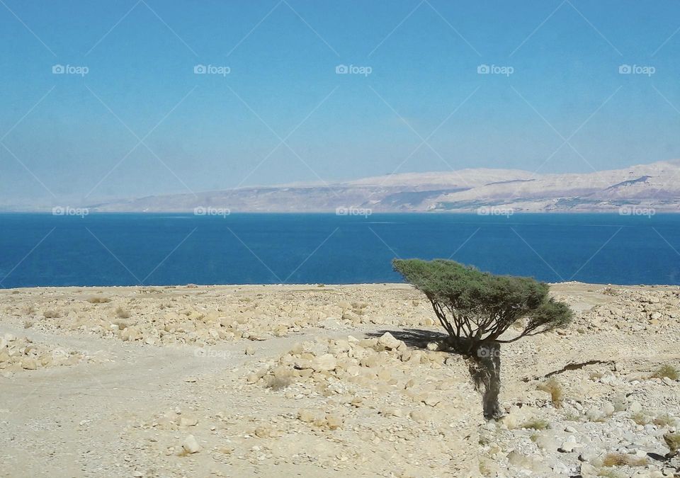 Dead Sea, mobile photography 