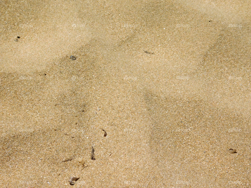 sand texture