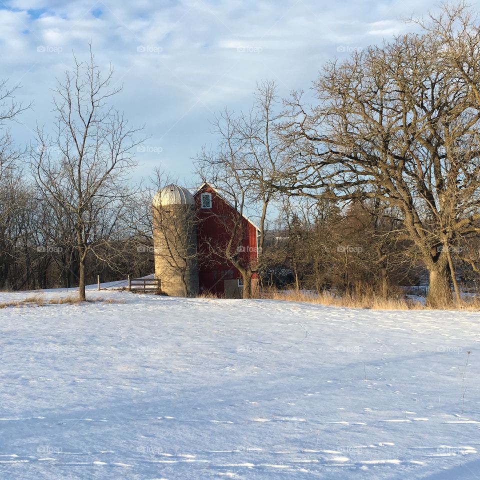 Wisconsin winter