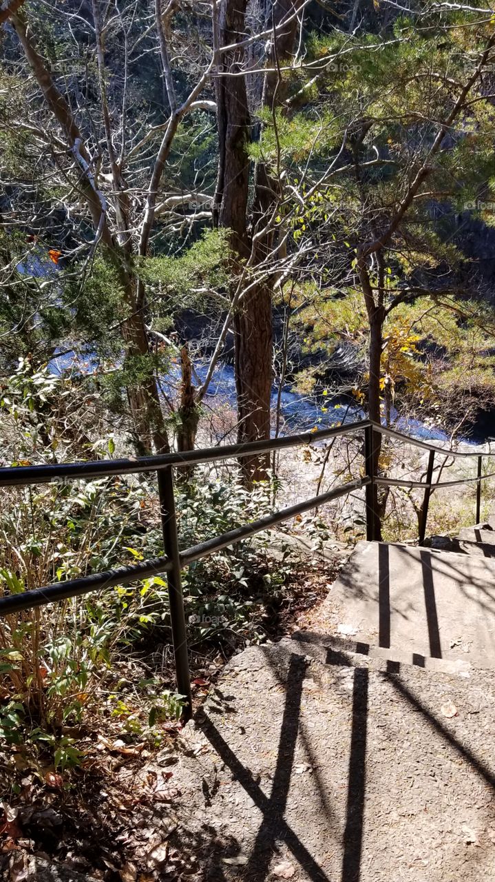 Railed stairway to river