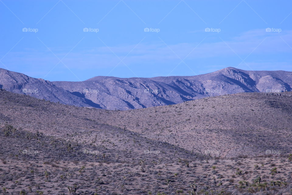 Nevada desert