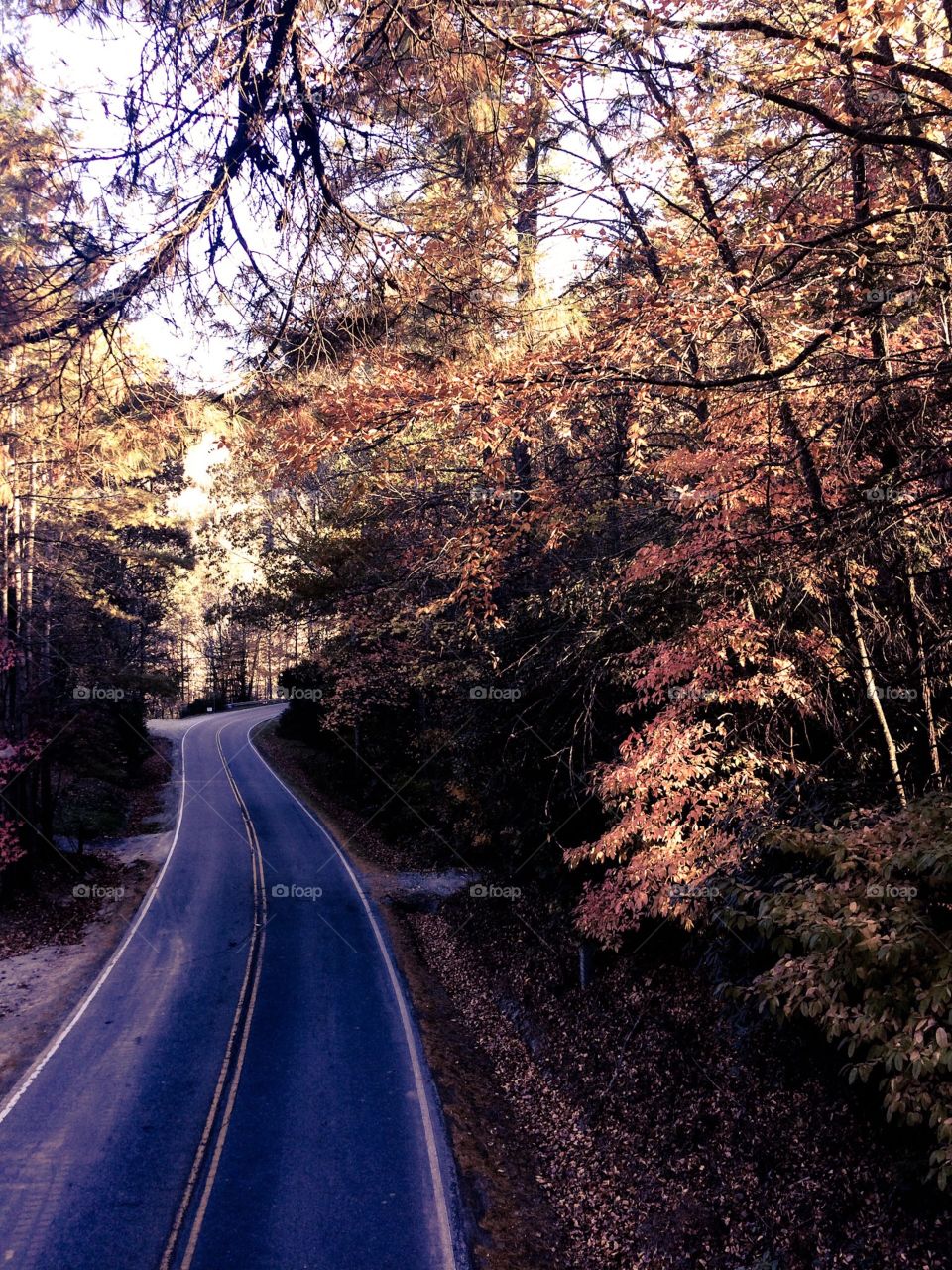 My number one favorite photo of all time is this one. It’s a backroad country mountain road with hills and turns and trees racing over the road. During the fall the leaves change to vivid reds, oranges, and yellows. It’s almost a vintage beauty. 