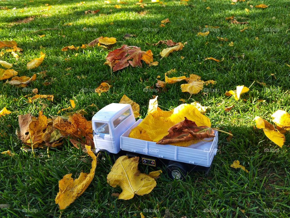 ENJOYMENT OF PLAYING WITH FALL LEAVES