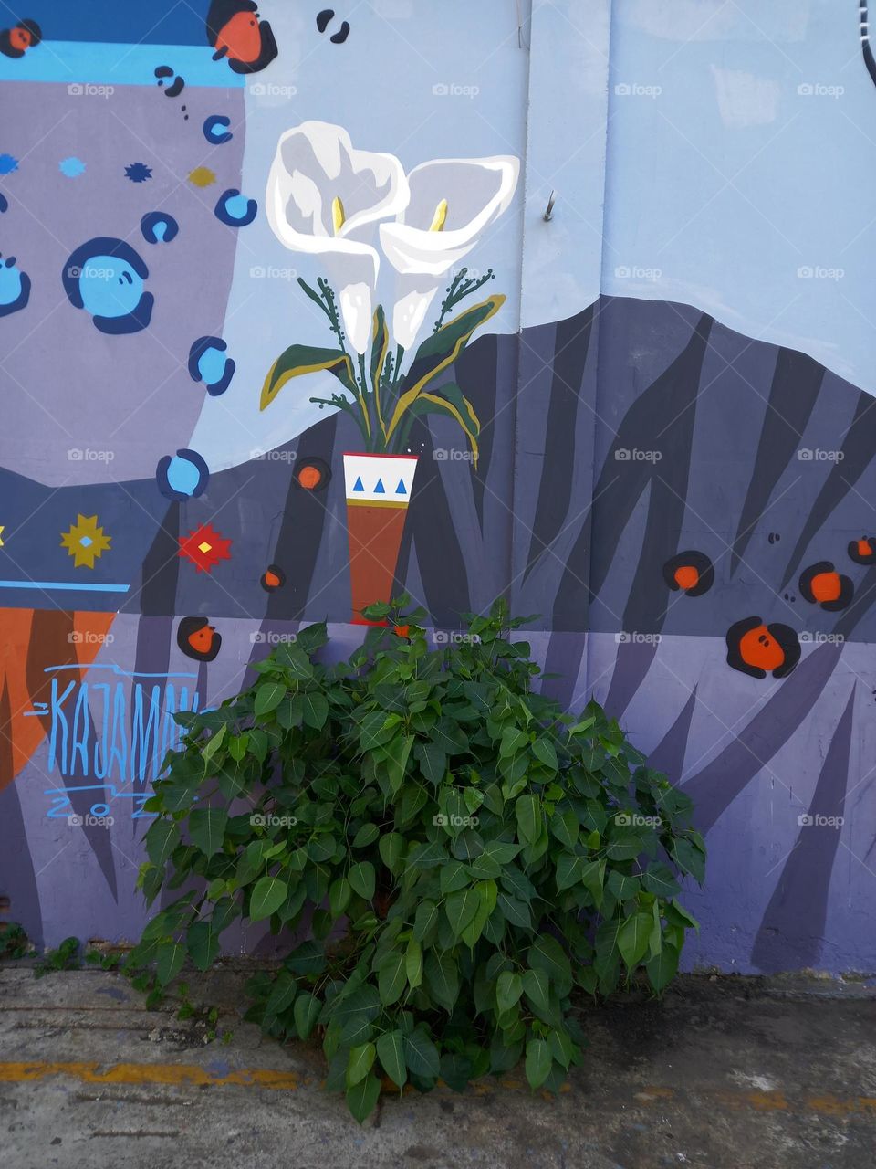 Florindo entre as flores