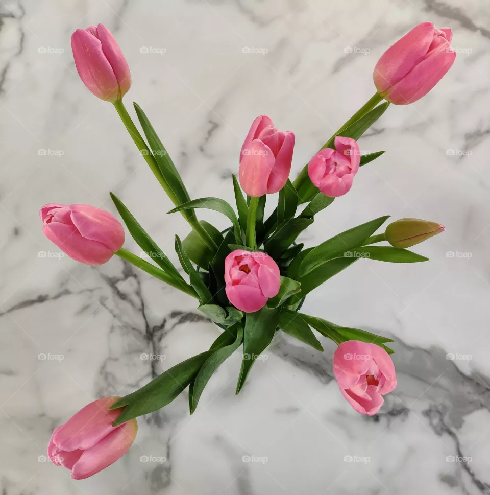 Home decor for a perfect humeur.
