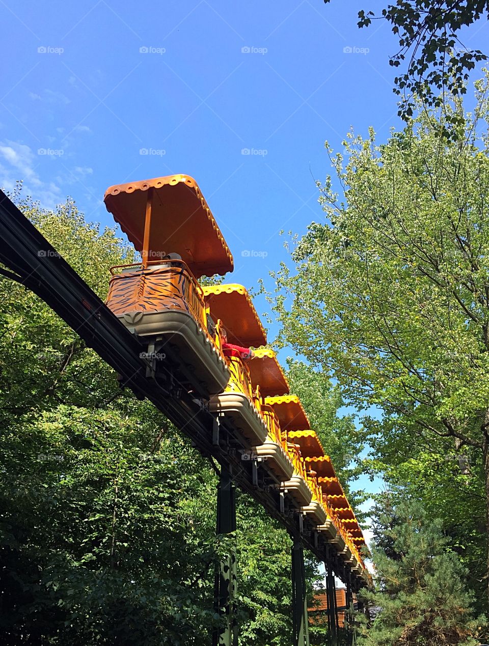 Monorail tree park zoo