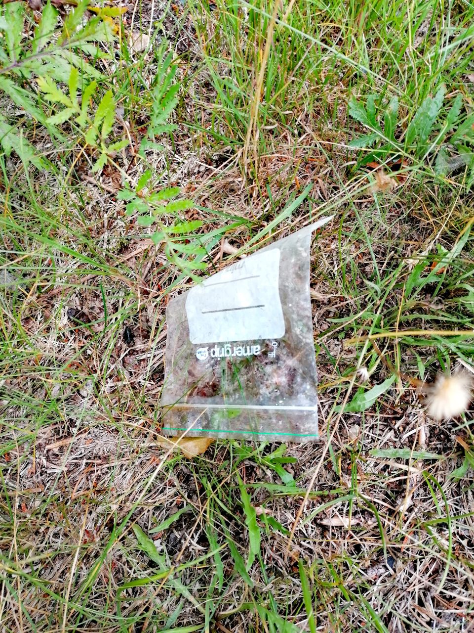 Garbage in nature. Don't do this!