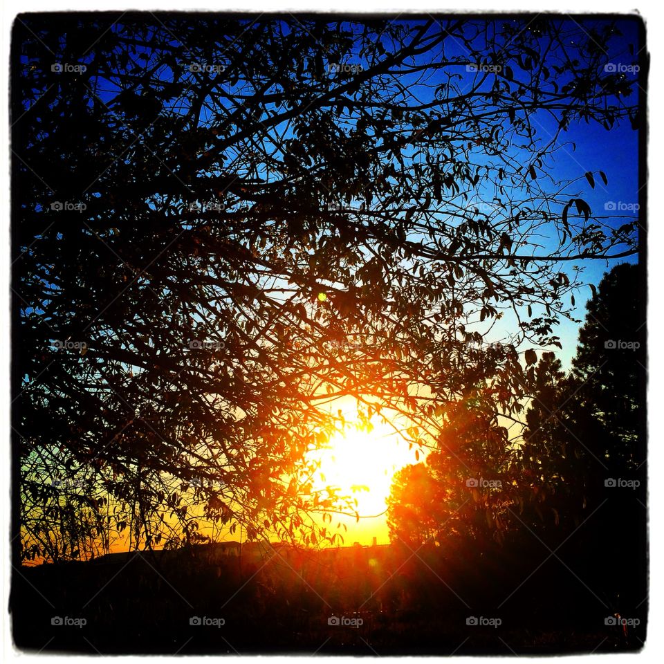 Esse foi o sol  escondido entre as árvores no amanhecer desta sexta-feira! Clique das 06h15. 
Como não se inspirar?
Foto do Bairro Medeiros, em Jundiaí -SP
