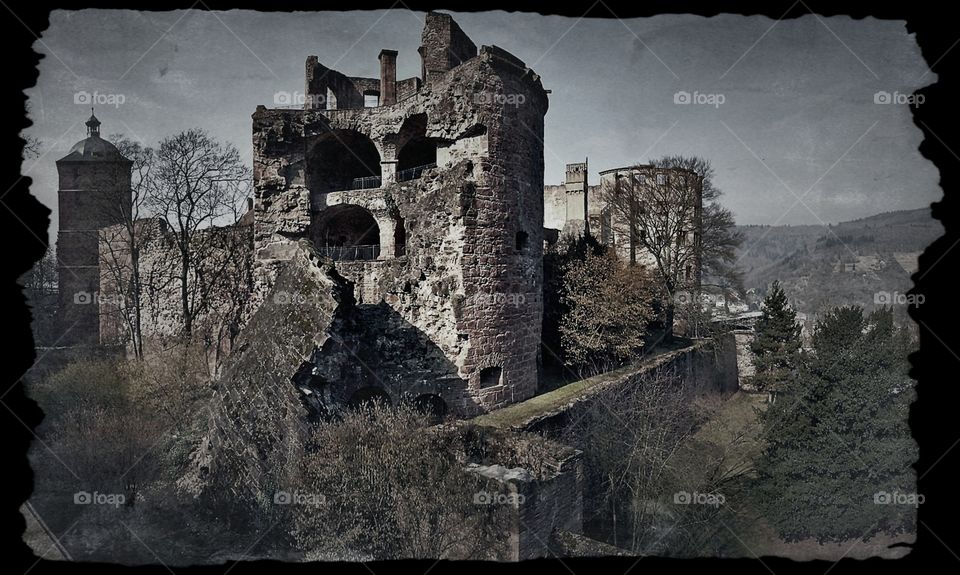 old tower. ruin of tower of castle heidelberg
