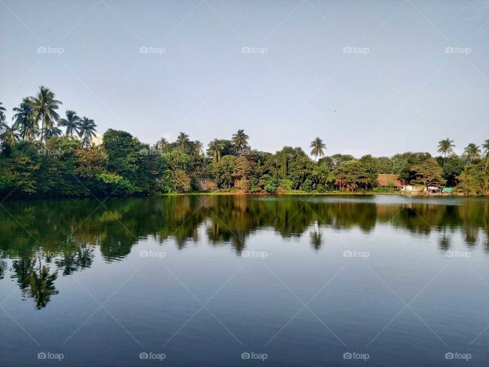 A calm lake in suburbs of Mumbai. India 2019