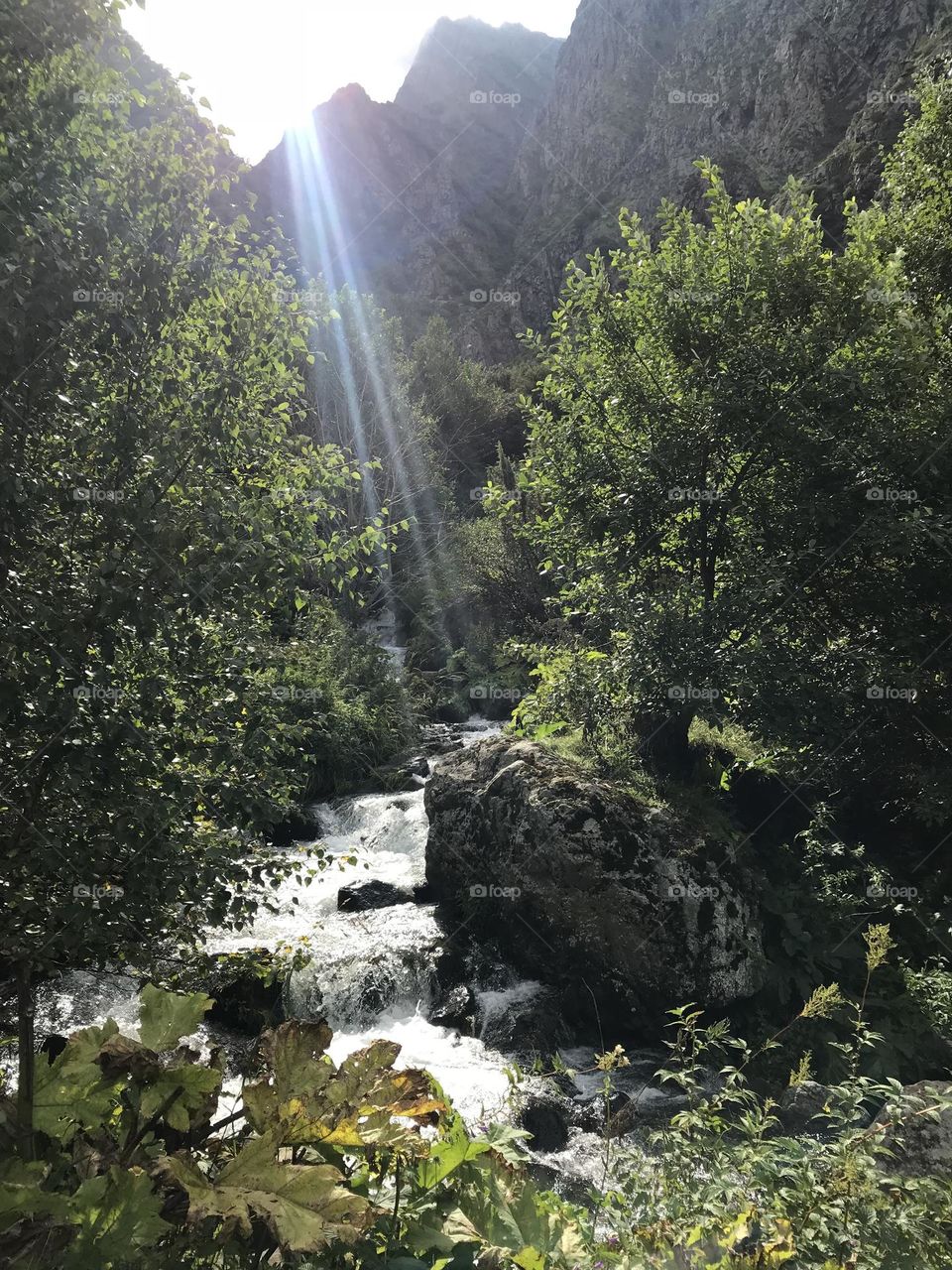 Mountain river in High green mountain, scenery beautiful view. Landscape nature mobile phone photo 