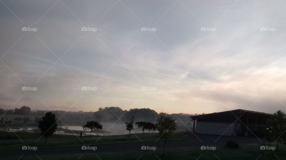 Landscape, Fog, Tree, No Person, Dawn