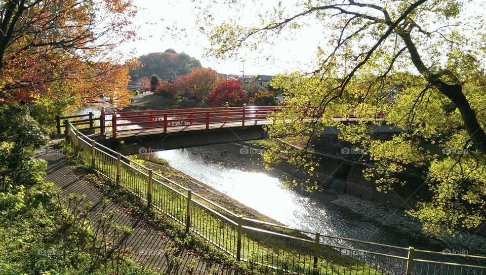 Tatsuta river in Nara