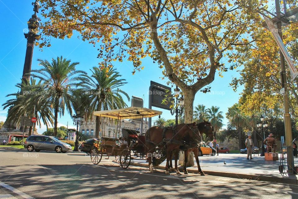 La rambla