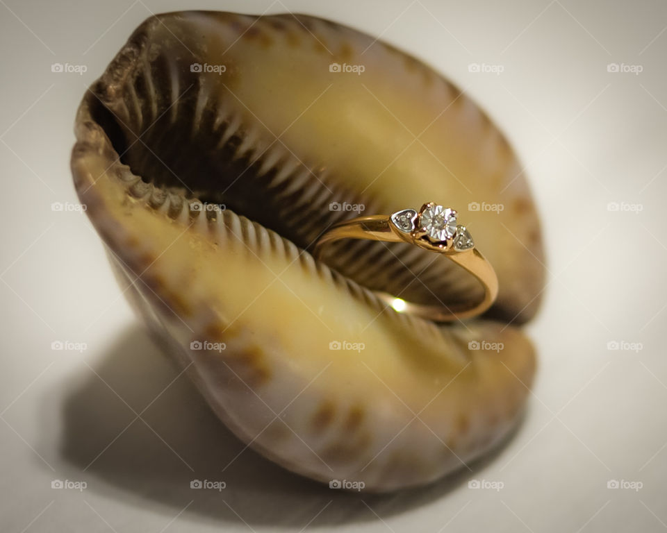 engagement ring in ocean shells