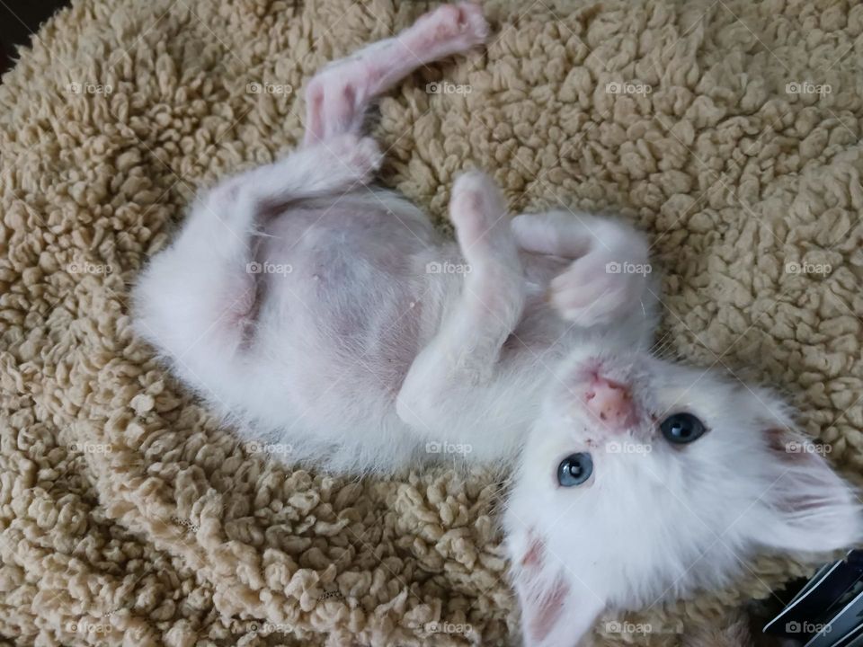 Rain looking hamdsome