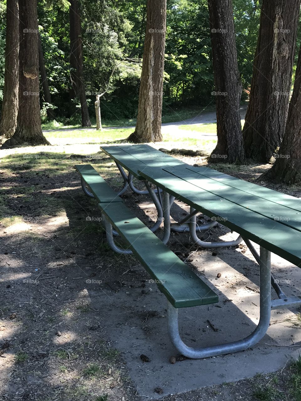 Park picnic tables