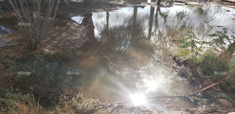 reflection of the sun