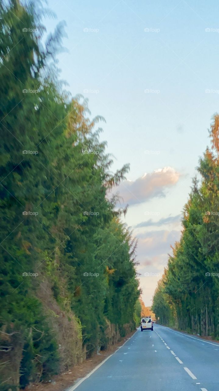 My Magic road trip of my point of view 