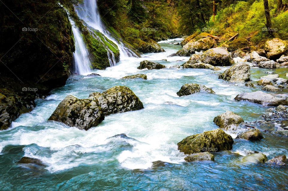 a waterfall flowing life into the river