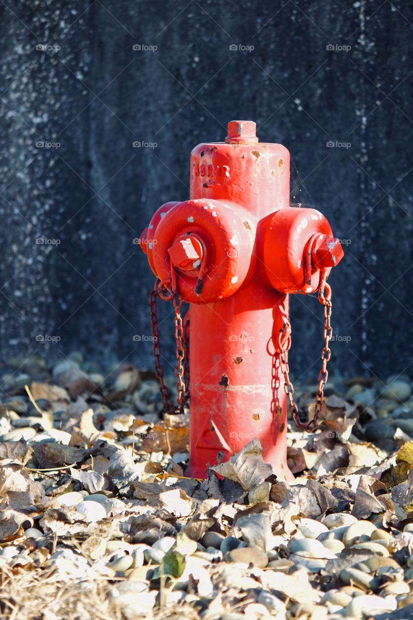 Red Fire-hydrant 