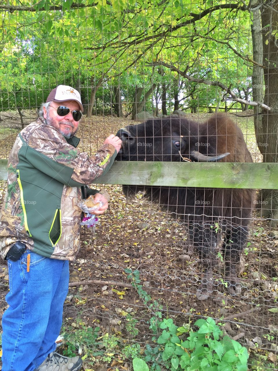 Feeding buffalo . Day at the farm trying to find the perfect pumpkin