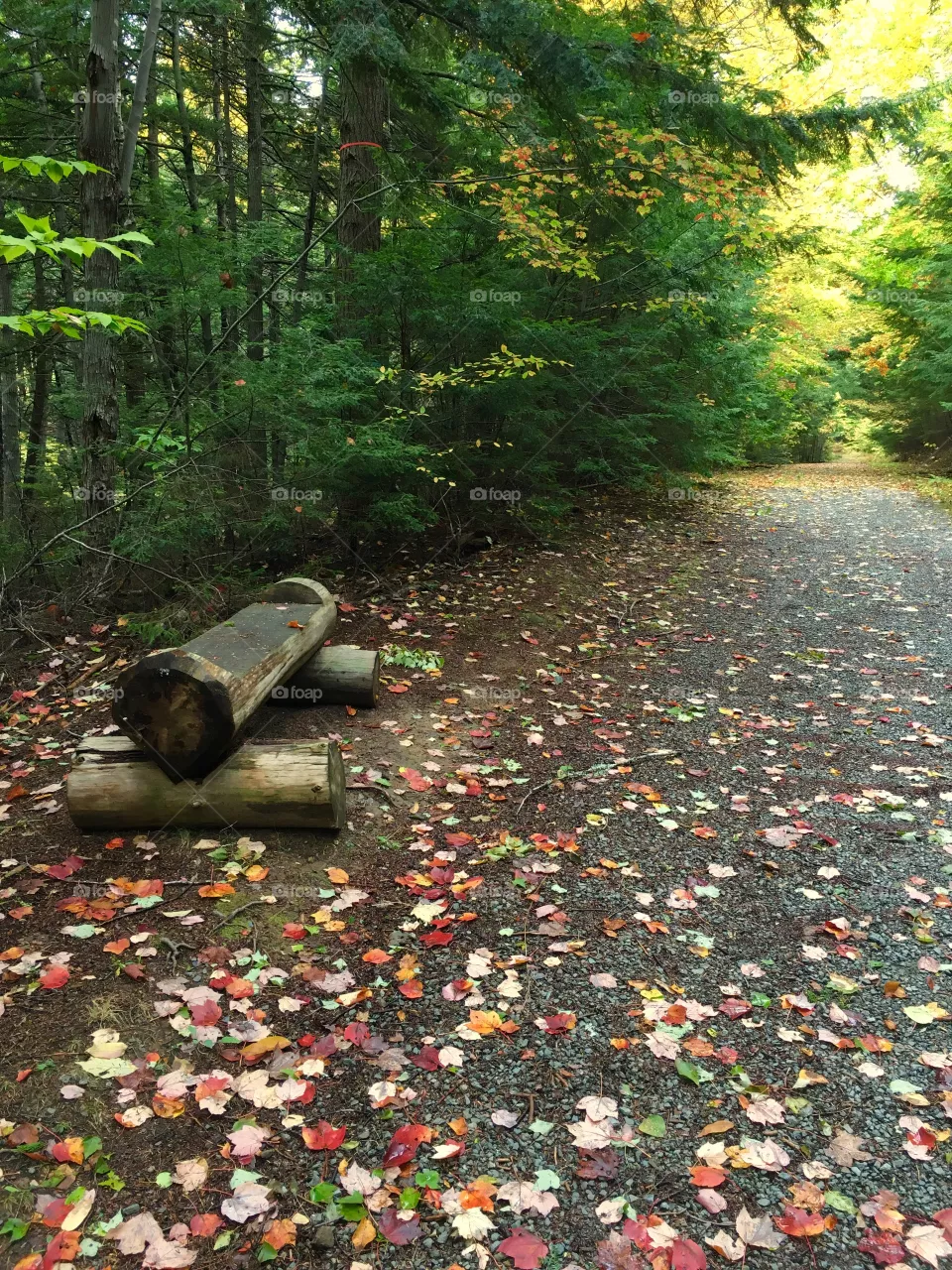 Park bench