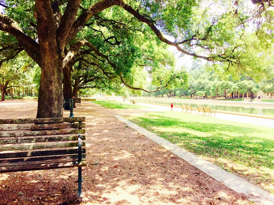 Park 