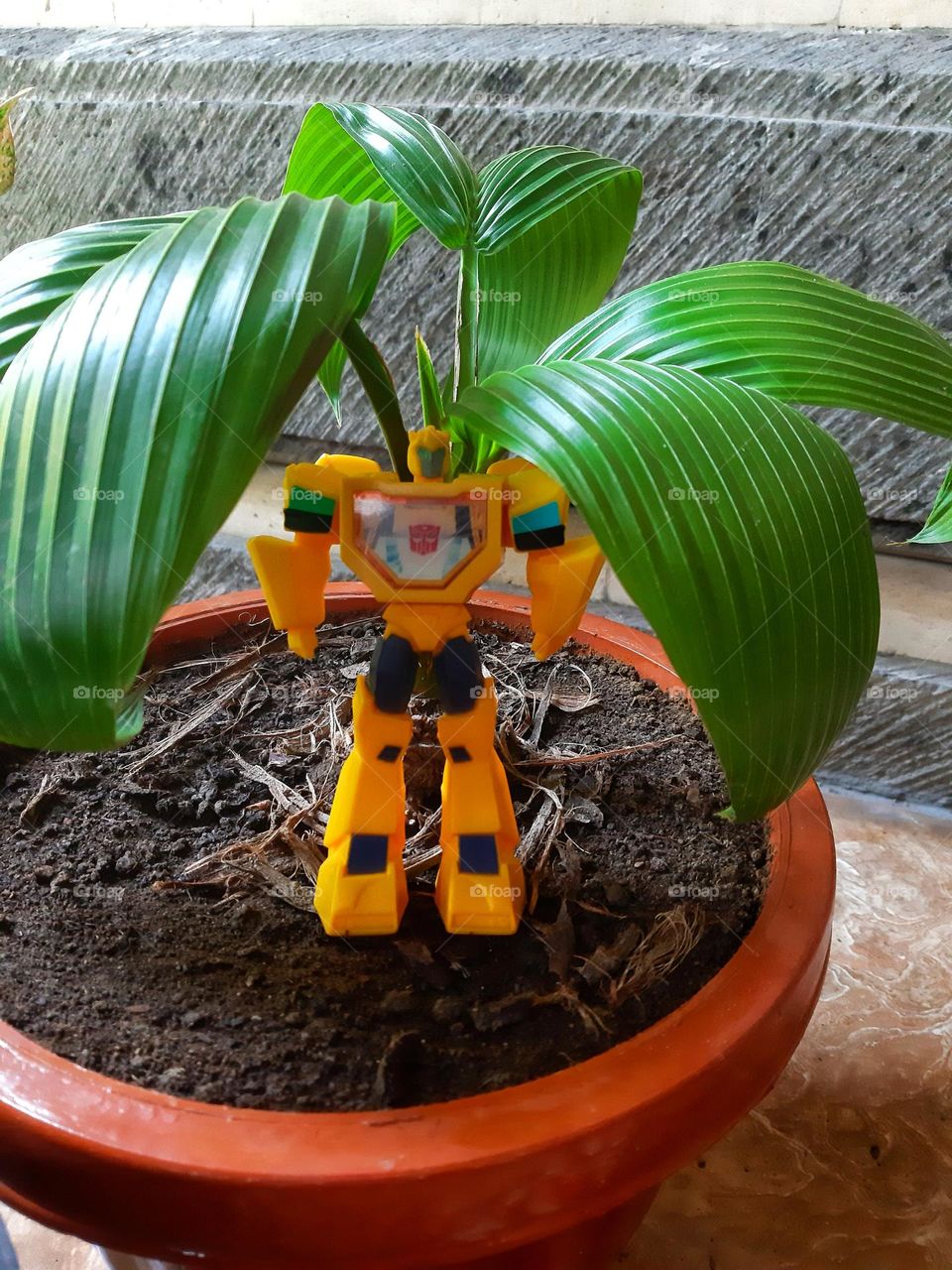 A mini yellowe plastic robot under the green leaves