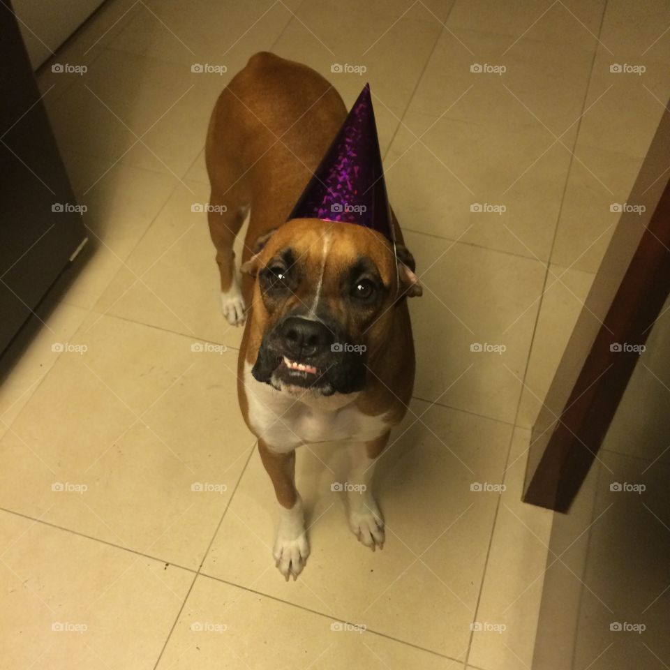 It's my birthday! Smile for the camera?