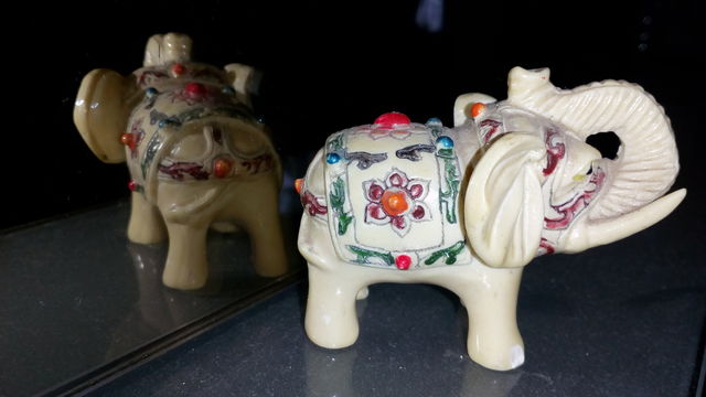 elefante