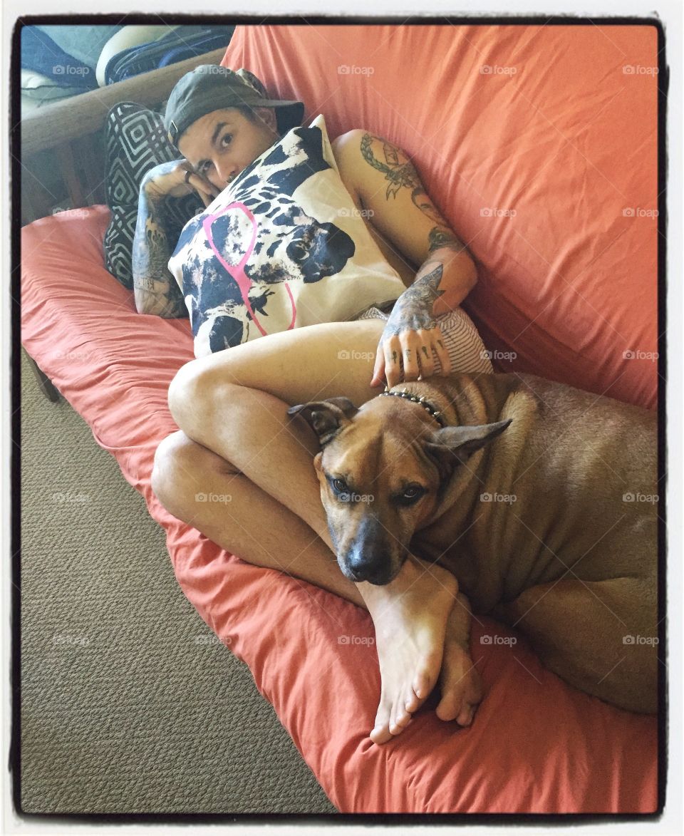 Dog, Canine, Sleep, One, Pet