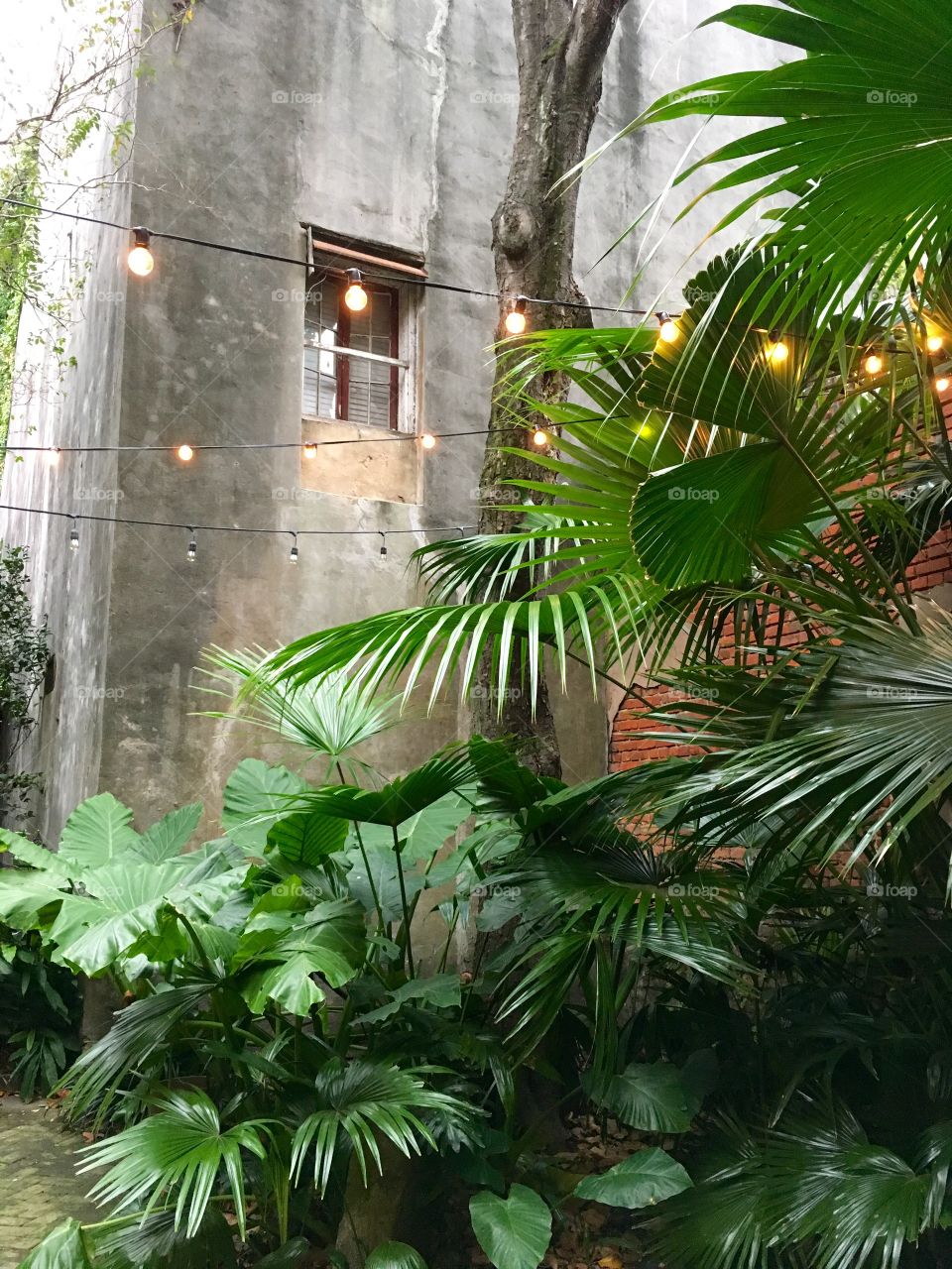 New Orleans Courtyard