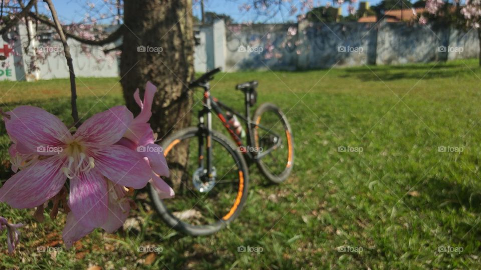 bike flor