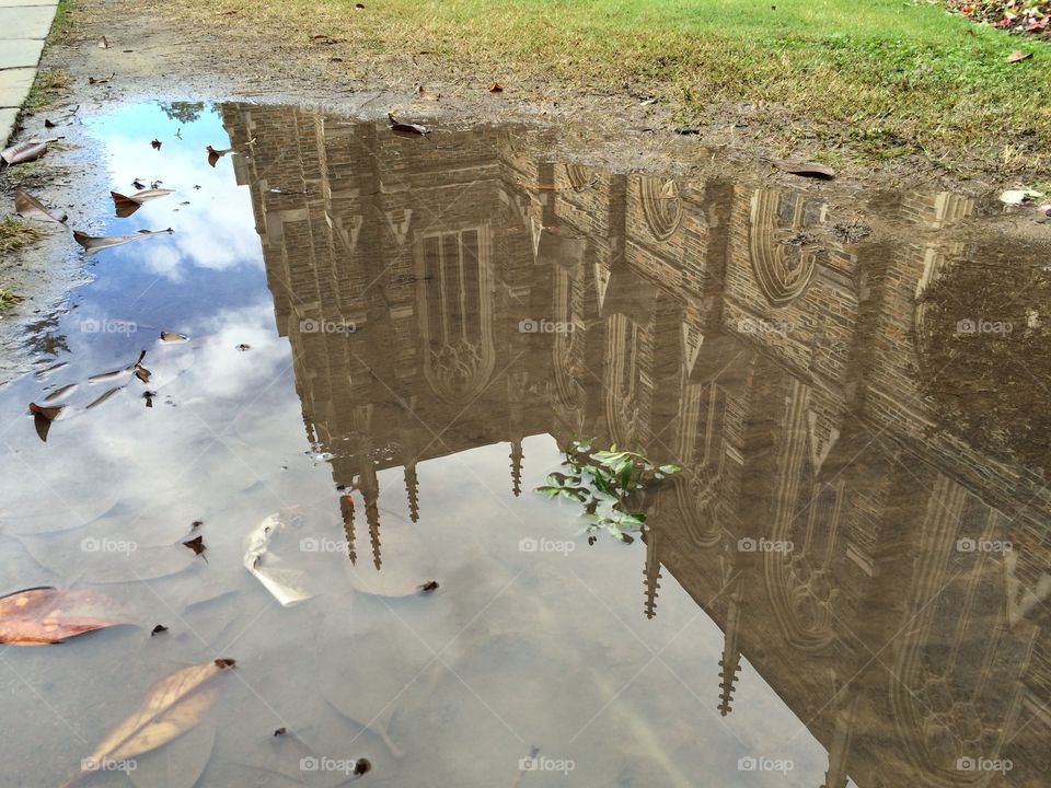 Reflections in puddle