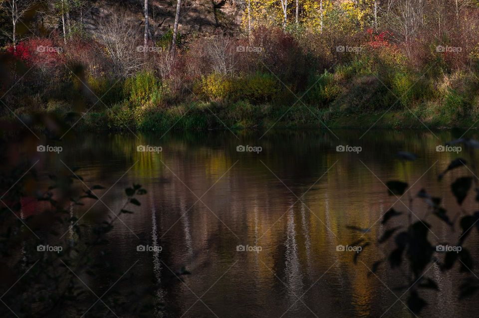 Autumn reflections in river water