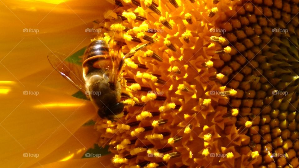 The Beauty Which Surrounds Us