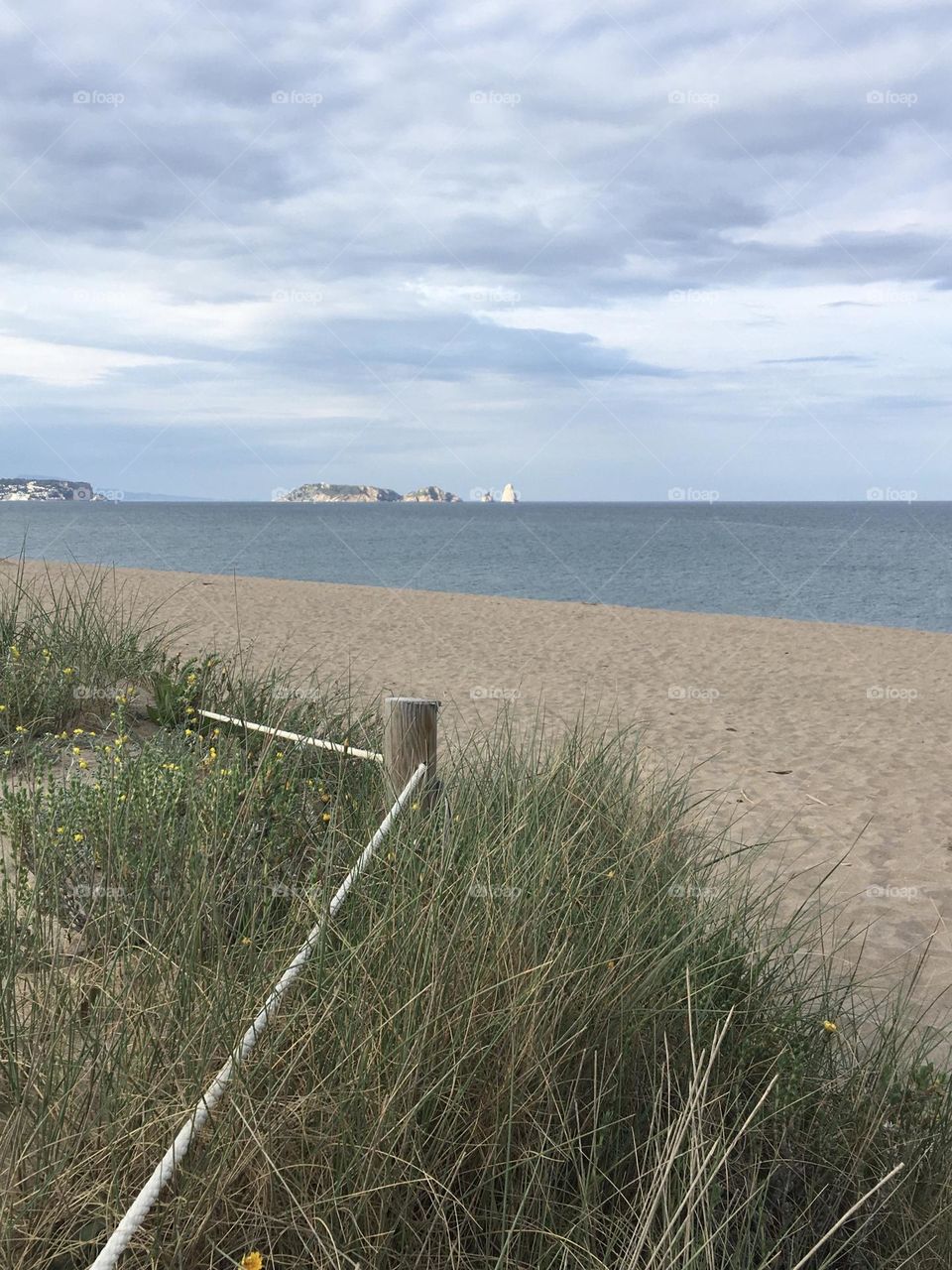 Dune préservation programme with seascape view 