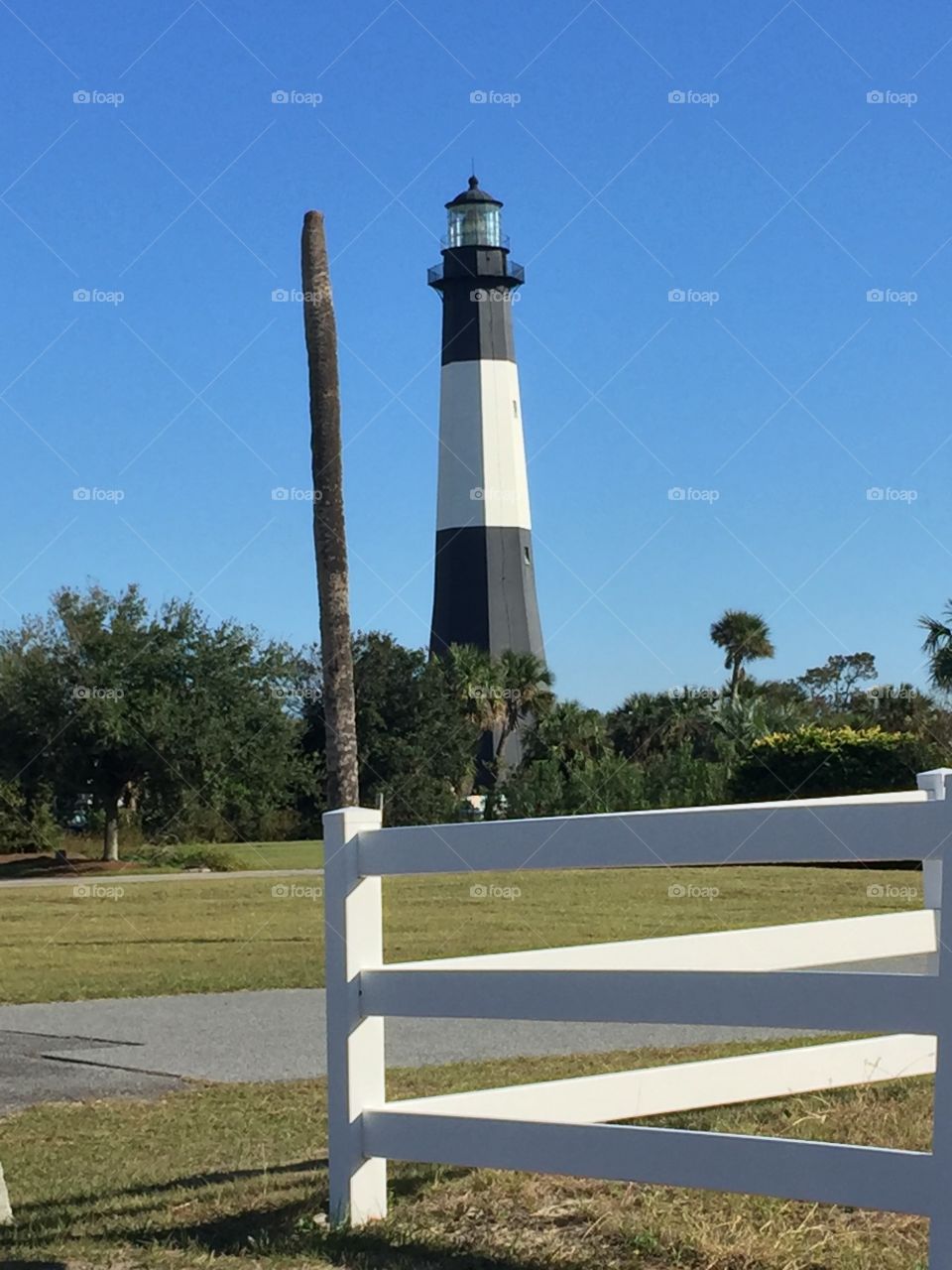 Lighthouse is the same size as the tree 