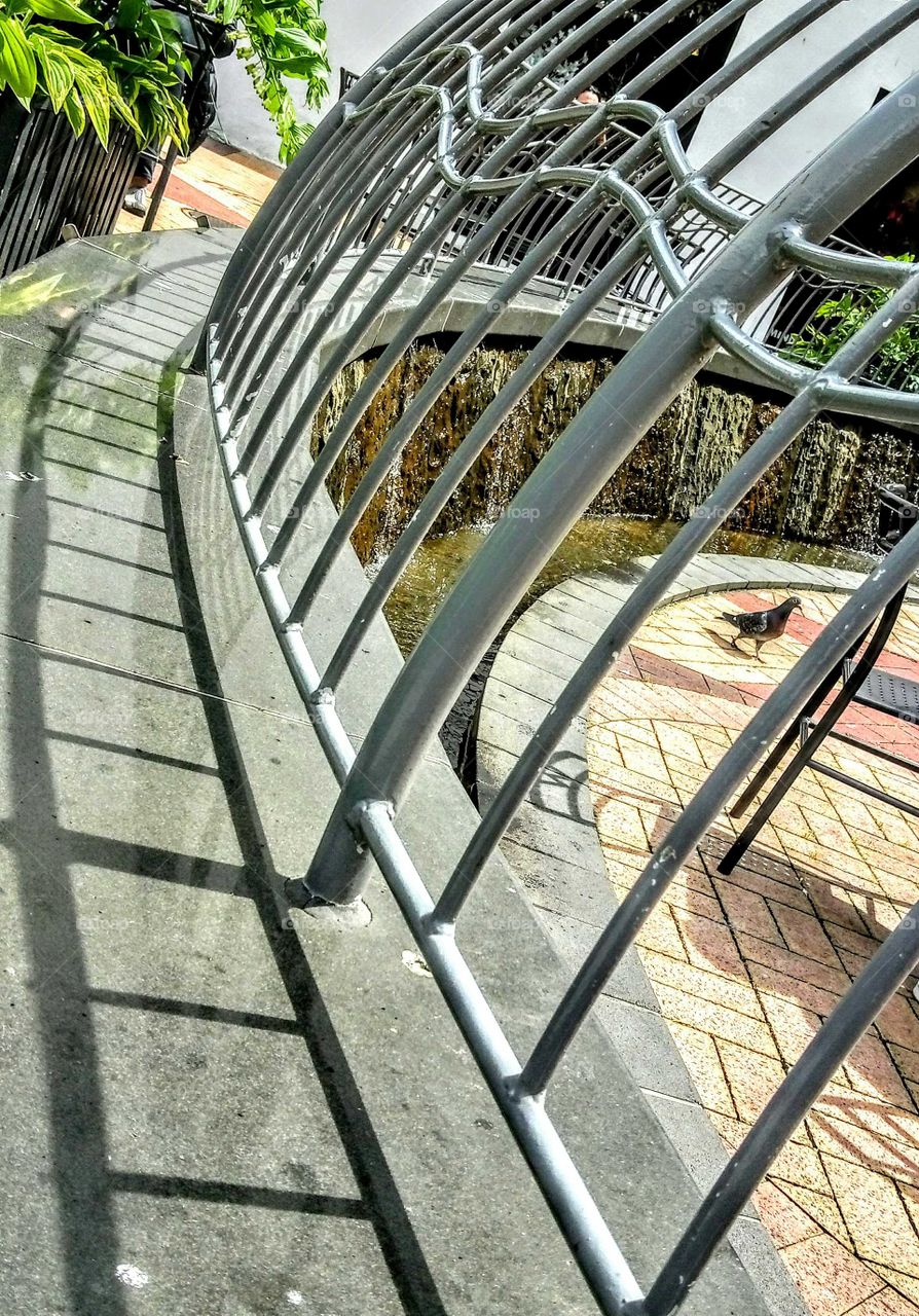 shadow pattern / lone bird !