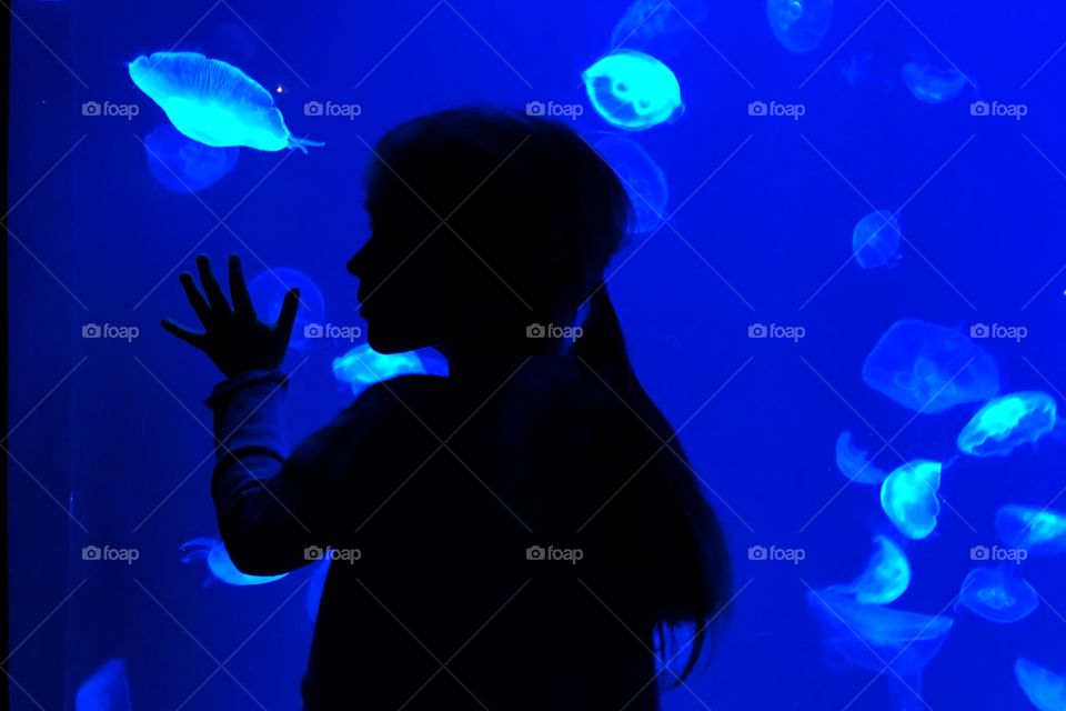 Silhouette of little girl in oceanarium 